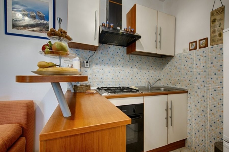 Apartment 4+2 - kitchen